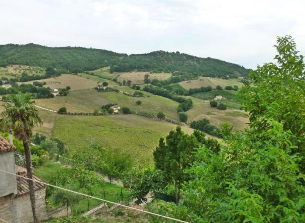 B&B Il Colle Serra San Quirico Dış mekan fotoğraf